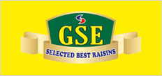 Logo merek GSE